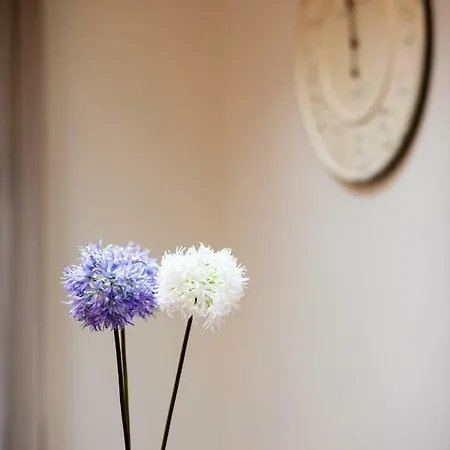 Biplan Apartment Riga